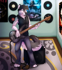 anthro bass_guitar biped black_body black_fur black_hair blue_eyes clothed clothing fur grey_body grey_fur grin guitar hair holding_musical_instrument holding_object hoodie inside looking_at_viewer male musical_instrument playing_guitar playing_music plucked_string_instrument poster record smile solo speaker standing string_instrument topwear white_body white_fur shariea canid canine canis domestic_dog husky mammal nordic_sled_dog spitz 2014