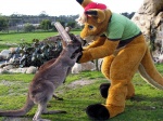 ambiguous_gender anthro backwards_baseball_cap backwards_hat baseball_cap biped blue_eyes brown_body brown_fur clothing cosplay costume countershading day feet fence feral fingerless_(marking) fur fursuit grass green_clothing green_shirt green_topwear grey_body grey_fur group hair hand_holding hat headgear headwear leaning leaning_forward male outside plant real rock shirt side_view standing tail tan_body tan_countershading tan_fur tan_hair thick_tail toeless_(marking) topwear vivarium zoo_(facility) unknown_artist oz_kangaroo kangaroo macropod mammal marsupial 4:3 full-length_portrait grandfathered_content photography_(artwork) portrait