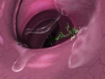 ambiguous_gender anal anal_vore detailed_internal endosoma first_person_view inside_colon internal internal_anal onomatopoeia prey_pov safe_vore slime solo sound_effects text unseen_pred vore rhodesy absurd_res hi_res