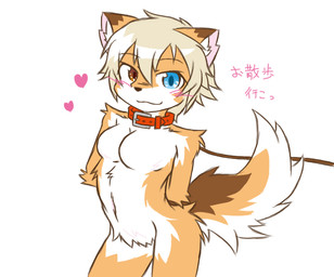 anthro blonde_hair blue_eyes blush breasts brown_body brown_eyes brown_fur butt collar crotch_tuft featureless_breasts featureless_crotch female fluffy fluffy_tail fur hair hands_behind_back heart_symbol heterochromia inner_ear_fluff kemono leash looking_at_viewer nude orange_body orange_fur simple_background smile solo standing tail text tuft white_background white_body white_fur acky05 canid canine mammal 2015 japanese_text