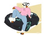 anthro bottomwear car claws clothing denim denim_bottomwear denim_clothing hoodie jeans male motor_vehicle pants paws pink_clothing pink_hoodie pink_topwear sitting_on_car sitting_on_vehicle smug solo topwear vehicle jayfrid honda honda_civic kiba_aussie australian_shepherd canid canine canis domestic_dog herding_dog mammal pastoral_dog sheepdog