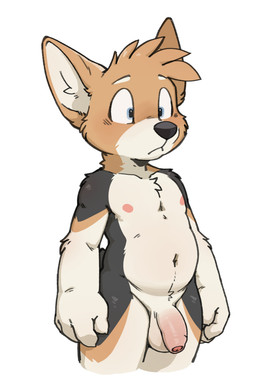 anthro balls blue_eyes casual_nudity flaccid foreskin fur genitals glans male male_anthro multicolored_body multicolored_fur navel nipples partially_retracted_foreskin penis simple_background slightly_chubby slightly_chubby_male solo three-quarter_view unretracted_foreskin white_background taro_bubbletea housepets! king_(housepets!) canid canine canis domestic_dog herding_dog mammal pastoral_dog welsh_corgi hi_res
