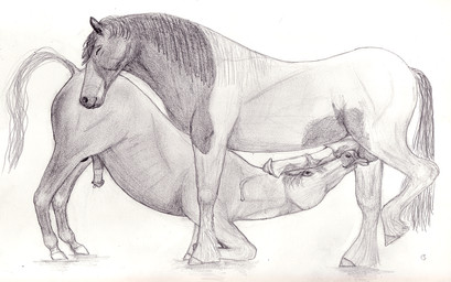 anatomically_correct anatomically_correct_penis animal_genitalia ass_up ball_licking balls darkmare duo equine erection eyes_closed feral feral_on_feral flaccid greyscale hooves horse horsecock licking male male/male mammal monochrome oral pencil_(artwork) penis penis_on_head precum sketch tongue tongue_out traditional_media_(artwork)
Rating: Explicit
Score: 11
User: parasprite
Date: February 09, 2015 anatomically_correct anatomically_correct_penis animal_genitalia ass_up ball_licking balls darkmare duo equine erection eyes_closed feral feral_on_feral flaccid greyscale hooves horse horsecock licking male male/male mammal monochrome oral pencil_(artwork) penis penis_on_head precum sketch tongue tongue_out traditional_media_(artwork)
Rating: Explicit
Score: 11
User: parasprite
Date: February 09, 2015