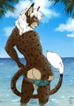 5_fingers anthro beach brown_body brown_fur butt clothed clothing clothing_pull day detailed_background fingers fur hair legs_in_water looking_at_viewer looking_back male mane markings outside partially_clothed partially_submerged pink_nose presenting presenting_hindquarters rear_view sea seaside sky smile solo spots spotted_body spotted_fur standing standing_in_water submerged_legs tail tail_tuft topless tropical tuft underwear underwear_down underwear_pull water white_hair tanutanuki jamura felid feline lynx mammal 2019 digital_media_(artwork) hi_res