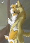 anthro canid canine canis clothed clothing domestic_dog duo eye_contact fluke fondling from_behind_position grinding grope handjob licking looking_at_another looking_back male male/male mammal nude open_clothing open_mouth open_shirt open_topwear partially_clothed penile reach_around sex shirt standing tail tongue tongue_out topwear