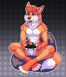 5_fingers anthro bean_bag blue_bean_bag blue_eyes brown_claws brown_nose brown_pawpads claws controller countershading crotch_tuft dipstick_tail feet fingers fur gaming head_tuft holding_controller holding_object male markings neck_tuft open_mouth open_smile orange_body orange_fur pawpads sitting smile solo tail tail_markings teeth toeless_(marking) tongue tuft white_body white_countershading white_fur mischefous mykhailo_starysh canid canine mammal absurd_res hi_res