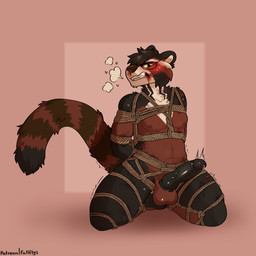 anthro bdsm bite_mark blood blush bodily_fluids bondage bound breath bruised eyewear genital_fluids genitals glasses knot male panting penis precum restrained restraints rope rope_bondage rope_harness shaking slightly_chubby solo sweat teasing trembling wounded fallflys asher_(chubbybogga) ailurid bear mammal red_panda 1:1 hi_res