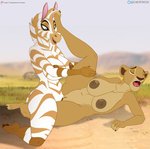 2_toes 5_fingers 5_toes anthro anthro_on_anthro anthrofied big_breasts blue_eyes breasts brown_nipples brown_nose day detailed_background dirt duo feet female female/female female_on_bottom female_on_top fingers fur genitals grass hair half-closed_eyes hand_on_leg hand_on_thigh huge_breasts humanoid_feet leg_glider_position lying narrowed_eyes navel nipples nude on_bottom on_side on_top open_mouth outdoor_nudity outside outside_sex plant plantigrade pussy raised_leg savanna sex side_view smile spread_legs spreading tan_body tan_fur teeth thick_thighs toes tongue tree tribadism vaginal white_body white_fur yellow_body yellow_fur el-loko disney the_lion_guard the_lion_king dhahabu nala_(the_lion_king) equid equine felid hybrid lion mammal pantherine zebra zebroid zorse hi_res