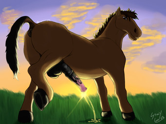 anatomically_correct anatomically_correct_genitalia anatomically_correct_penis animal_genitalia animal_penis anus backsack balls bodily_fluids butt dirty equine_genitalia equine_penis erection feral genital_fluids genitals grass_field horse_tail light looking_at_viewer looking_back male peeing peeing_on_ground peeing_outside penis presenting raised_leg raised_tail sheath steam sunlight tail urine urine_on_ground urine_stream watersports stinkycoyote equid equine horse mammal 4:3 absurd_res hi_res