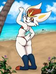 2020 absurd_res ambiguous_gender anthro beach butt cinderace clothing detailed_background generation_8_pokemon hi_res lagomorph looking_back mammal nintendo outside pokemon pokemon_(species) rear_view seaside smile solo standing swimwear zeklullaby