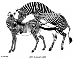 anatomically_correct animal_genitalia animal_penis big_penis duo equine_genitalia equine_penis erection female feral feral_on_feral genitals hooves huge_penis male male/female nude penis sex stripes tail text tim_o'rourke equid equine mammal zebra 1997 black_and_white english_text monochrome