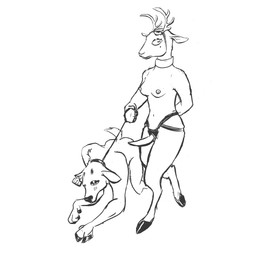 accessory all_fours anthro antler_stump antlers bdsm blood bodily_fluids bondage bound breasts clothing collar crawling dehorned dildo dominant dominant_female duo ear_piercing ear_tag fake_horns female fingers gore headband headgear headwear hooved_fingers hooves horizontal_pupils horn leash leash_pull leashed_collar male male/female markings mole_(marking) piercing pupils sex_toy strapon submissive submissive_male wearing_collar wounded dog-berry bovid caprine deer mammal sheep 1:1 absurd_res hi_res