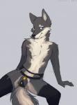 anthro biped blue_eyes chastity_belt chastity_device clothing femboy garter_belt garter_straps grey_background legwear male pose simple_background solo spread_legs spreading stockings year princessharumi keeper_utonagan canid canine mammal 2013 pinup