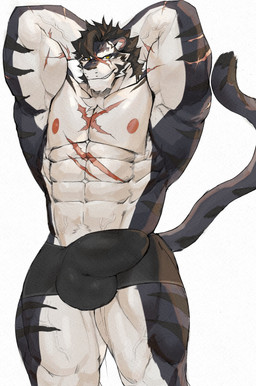 anthro bulge chest_scar detailed_bulge male muscular muscular_anthro muscular_male muscular_thighs nipples pecs scar simple_background solo white_background bark_man1 sdorica yao_(sdorica) felid mammal pantherine tiger 2025 absurd_res colored hi_res