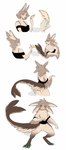 4_ears anthro basic_sequence breasts butt digitigrade ear_growth feather_growth feathers female growth hair heart_(marking) holding_feather humanoid_to_anthro looking_back loose_feather markings multi_ear naturally_censored short_hair simple_background solo surprise transformation transformation_sequence white_background sweetburn sweets_remivas_(sweetburn) avali avian humanoid lagomorph leporid mammal rabbit 2023 absurd_res digital_media_(artwork) hi_res sequence