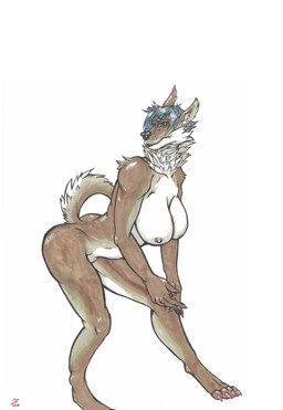 areola big_breasts blue_eyes blue_hair breasts brown_body brown_fur butt cheek_tuft claws curled_tail facial_tuft female fur hair inner_ear_fluff leaning leaning_forward neck_tuft nipples nude nude_anthro nude_female simple_background solo tail tuft whisker_spots white_background white_body white_fur white_inner_ear_fluff sewercroc canid canine canis domestic_dog mammal 2018 dated hi_res signature traditional_media_(artwork)