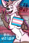 anthro breasts brown_body brown_fur criminal female fur lgbt_pride nipples nude pink_body pink_fur placard pride_color_placard pride_color_sign pride_color_wall pride_colors slim small_breasts solo text transgender_pride_colors wall_(structure) helloawoo be_gay_do_crimes bella_leggy canid canine canis mammal maned_wolf wolf absurd_res english_text hi_res trans_(lore) trans_woman_(lore)