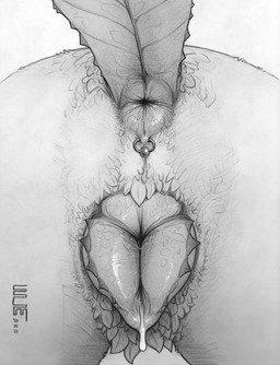 anal_piercing anal_ring animal_genitalia animal_vulva anus bodily_fluids butt butt_focus canine_genitalia canine_vulva close-up dripping dripping_vulva female feral fur genital_close-up genital_focus genital_piercing genitals in_heat leaf logo piercing plant ring_piercing simple_background solo sphincter tail vulva vulva_close-up ecmajor game_freak nintendo pokemon canid canine eeveelution elemental_creature flora_fauna generation_4_pokemon leafeon mammal pokemon_(species) 2026 artist_logo dated hatching_(art) hi_res monochrome shaded signature simple_shading sketch traditional_media_(artwork)