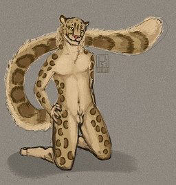 animal_genitalia anthro athletic athletic_anthro athletic_male balls countershade_arms countershade_balls countershade_crotch countershade_face countershade_genitalia countershade_neck countershade_tail countershade_torso countershading fluffy fluffy_tail fully_sheathed fur genitals hand_on_hip kneeling male male_anthro markings nude nude_anthro nude_male sheath simple_background solo spots spotted_body spotted_fur tail tan_body tan_fur i-psilone felid mammal pantherine snow_leopard 2015