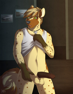 5_fingers anthro balls biped black_claws black_nose black_penis bottomless brown_body brown_fur brown_hair brown_penis brown_spots brown_tail claws clothed clothing clothing_lift cross detailed_background erection fingers front_view fur genitals glans gloves_(marking) green_eyes hair humanoid_genitalia humanoid_penis inside jewelry male markings multicolored_body multicolored_fur multicolored_hair multicolored_tail navel open_mouth pendant penis photo shirt shirt_lift short_hair solo spots spotted_body spotted_fur standing tail tan_balls tan_body tan_fur tan_hair tan_tail tank_top topwear two_tone_body two_tone_fur two_tone_hair two_tone_tail white_clothing white_shirt white_topwear arius jake_(stripes) hyena mammal spotted_hyena 2012 digital_media_(artwork) portrait signature three-quarter_portrait