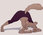 5_fingers 5_toes anthro ass_up barefoot bent_over bent_over_with_legs_held_straight big_breasts big_butt blue_eyes bottomwear breast_squish breasts brown_body brown_fur butt butt_from_the_front clothed clothing feet female fingers fur humanoid_feet jack-o'_pose kneeling leggings legwear looking_at_viewer multicolored_body pants plantigrade playful pose raised_tail shadow simple_background solo squish tail tight_clothing toes topless topless_female two_tone_body yoga_pants ale_vananice beastars juno_(beastars) canid canine canis mammal wolf absurd_res hi_res