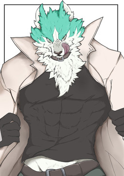 abs anthro black_clothing black_shirt black_topwear blue_body blue_fur clothed clothing coat collar countershading fur gloves handwear inner_ear_fluff licking male neck_tuft open_clothing open_coat open_topwear pecs self_lick shirt solo tongue tongue_out topwear tuft white_body white_countershading aschitail brand_new_animal studio_trigger shirou_ogami canid canine canis mammal wolf 2020 hi_res