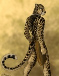 2015 5_fingers abstract_background anthro biped black_body black_fur black_lips black_spots blue_eyes bottomwear brown_body brown_fur butt butt_pose cheetah clothed clothing felid feline fingers fur humanoid_hands inner_ear_fluff king_cheetah lips loincloth long_mouth looking_at_viewer looking_back male mammal markings no_sclera portrait pose red_lantern rukis simple_background slave snout solo spots spotted_body spotted_fur standing story story_in_description three-quarter_portrait topless tuft whiskers white_body white_fur yellow_body yellow_fur