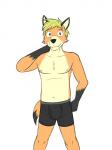 3:4 anthro black_clothing black_underwear blonde_hair boxer_briefs bulge canid canine clothed clothing fox fuze hair hi_res male mammal rick_(texnatsu) simple_background solo texnatsu topless underwear white_background