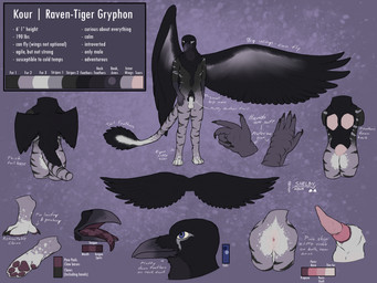 animal_genitalia animal_penis anthro anus balls beak black_body black_claws black_feathers black_wings blue_eyes claws erection feathered_wings feathers feline_genitalia feline_penis front_view fully_sheathed genitals grey_beak grey_body male male_anthro mouth_closed nude open_mouth penis pink_anus pink_penis rear_view sheath solo standing tapering_penis tongue tongue_out white_balls white_sheath wings sketchy_shelby mythology kour_(sketchy_shelby) avian gryphon mythological_avian mythological_creature hi_res model_sheet