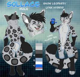 anthro back_tuft black_body black_fur black_hair black_tail blue_body blue_eyes blue_fur blue_pawpads blurred_background butt cheek_tuft chest_tuft color_swatch countershading crotch_tuft dipstick_tail ear_tuft facial_tuft fangs featureless_crotch feet fingerless_(marking) front_view fur glistening glistening_pawpads grey_body grey_ears grey_fingers grey_fur grey_inner_ear grey_tail grey_toes hair inner_ear_fluff leg_markings looking_aside male markings neck_tuft open_mouth pawpads pose rear_view red_tongue socks_(marking) solo spots spotted_arms spotted_back spotted_legs spotted_markings spotted_tail tail tail_markings tan_sclera teeth toeless_(marking) tongue tuft whiskers white_inner_ear_fluff princelykaden felid feline hybrid leopard lynx mammal pantherine 2021 digital_drawing_(artwork) digital_media_(artwork) flat_colors hi_res model_sheet