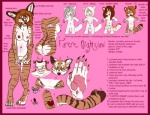 anthro border breasts brown_hair female fur hair nipples nude red_border solo tail text farorenightclaw farorenightclaw_(character) domestic_cat felid feline felis mammal tabby_cat english_text model_sheet