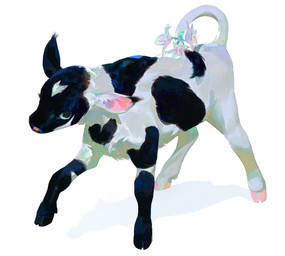 ambiguous_gender black_eyes cloven_hooves ears_up eyelashes feral flower from_front_position fur hooves looking_at_viewer multicolored_body multicolored_fur plant quadruped raised_hoof simple_background solo tail two_tone_body two_tone_fur white_background nonnydoge bovid bovine cattle mammal absurd_res full-length_portrait hi_res portrait