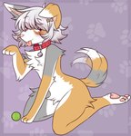 alternate_species anthro ball bell bell_collar chest_tuft collar crotch_tuft floppy_ears fur grey_body grey_fur hair pawpads pink_pawpads red_eyes solo tennis_ball tongue tongue_out tuft white_body white_fur white_hair yellow_body yellow_fur marbelle sapph arcanis_(hahaluckyme) canid canine canis domestic_dog mammal absurd_res hi_res