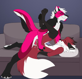 anal anthro bodily_fluids cum duo ejaculation eyes_closed fluffy fluffy_tail furniture genital_fluids genitals legs_up lying male male/male on_back penis side_view smile sofa tail jailbird xerxes_(xerxeswolf) zoru canid canine canis fox mammal wolf 2024
