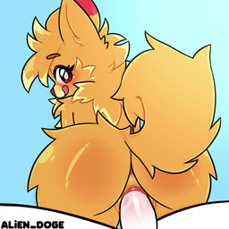 ambiguous_gender ambiguous_human anthro anthro_focus anthro_penetrated anthrofied anus blush bodily_fluids butt duo fast_sex female female/ambiguous female_anthro female_focus female_on_human female_penetrated first_person_view fur genital_fluids genitals hair happy human_on_anthro human_penetrating_female interspecies looking_at_viewer male male/female male_penetrating male_penetrating_female nude nude_anthro nude_female penetrating_pov penetration penile penile_penetration penis_in_vagina pokemorph pokephilia sex solo_focus tail tongue tongue_out vaginal vaginal_fluids vaginal_penetration vulva alien_doge nintendo pokemon pokemon_winds_and_waves canid canine generation_10_pokemon human mammal pokemon_(species) pombon 1:1 2026 animated hi_res no_sound short_playtime video