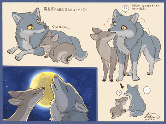 ambiguous_gender blue_border blush bodily_fluids border brown_body brown_fur countershading duo eyes_closed feral fur grey_body grey_fur heart_symbol hooves kissing lying moon multicolored_body night quadruped question_mark sky star starry_sky text yellow_eyes fusau canid canine canis deer mammal wolf 2024 digital_media_(artwork) hi_res japanese_text signature