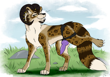 animal_genitalia animal_penis canine_genitalia canine_penis female feral furgonomic_strapon genitals inviting lgbt_pride penis presenting solo strapon teasing teasing_viewer muskydusky lulu_(69rainbowfox69) felid feline hellcat mammal hi_res