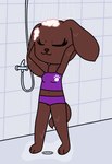 anthro bathing bikini bikini_bottom bikini_top biped breasts brown_body brown_fur brown_nose bubble clothed clothing dog_ears dog_tail drain eyelashes eyes_closed female footprint fully_clothed fur inside midriff navel pawprint pawprint_bikini pawprint_swimwear paws purple_bikini purple_bikini_bottom purple_bikini_top purple_clothing purple_swimwear shower showering smile solo standing swimwear tail tankini topwear two-piece_swimsuit wet pazymomo evelyn_(pazymomo) bird_dog canid canine canis cocker_spaniel domestic_dog hunting_dog mammal spaniel 2022 digital_drawing_(artwork) digital_media_(artwork) flat_colors hi_res