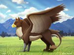 feral male solo scheadar mythology gabrielgryphon_(character) avian bird gryphon mythological_avian mythological_creature