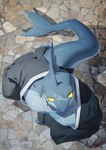 anthro high-angle_view looking_at_viewer looking_up male pupils scar slit_pupils solo tail kelium_art fish marine shark digital_drawing_(artwork) digital_media_(artwork) hi_res