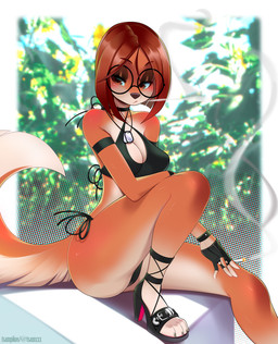 alternate_hairstyle ankle_strap_heels anthro blush bob_cut breasts brown_eyes brown_hair choker cigarette cleavage clothed clothing countershading dog_tags eyewear female fingerless_gloves fluffy fluffy_tail footwear fur glasses gloves hair handwear high_heeled_sandals high_heels jewelry medium_breasts multicolored_body multicolored_fur navel necklace open_toe_heels orange_body orange_eyes orange_fur round_glasses sandals shoes short_hair smoking smoking_cigarette solo swimwear tail two_tone_body two_tone_fur white_body white_fur tsampikos illumination_entertainment sing_(movie) suki_lane canid canine canis domestic_dog hunting_dog mammal saluki sighthound