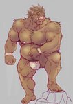 anthro barazoku belly bulge clothing male moobs musclegut muscular nipples one_eye_closed overweight overweight_anthro overweight_male simple_background solo underwear wink dandoo mammal suid suina sus_(pig) wild_boar 2020