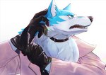 anthro blue_body blue_eyes blue_fur clothed clothing collar fur gloves handwear male simple_background solo topwear caproicyuhki brand_new_animal studio_trigger shirou_ogami canid canine canis mammal wolf digital_media_(artwork) hi_res