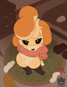 bed bedroom blush blush_stickers clothing crotch_tuft female footwear furniture legwear looking_at_viewer panties pubic_fuzz shoes slippers socks solo thigh_highs tuft underwear undressing renabu animal_crossing nintendo isabelle_(animal_crossing) canid canine mammal 2026 hi_res