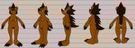 anthro breasts brown_body brown_fur brown_hair butt claws female fur genitals hair navel nipples nude pubes pussy solo turnaround lendri_mujina amialido_amdodo_(copyright) shielle_spineback mammal porcupine rodent 2024 hi_res model_sheet