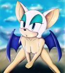 2014 absurd_res anthro bat female hi_res howl_echoes mammal rouge_the_bat sega sonic_(series) wings
Rating: Explicit
Score: 1
User: Howl_Echoes
Date: March 08, 2014
