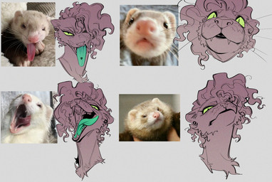 anthro fangs female licking licking_lips licking_own_lips photo_reference piercing sharp_teeth side_shave solo teeth tongue tongue_out tongue_piercing glacierclear charlie_(glacierclear) domestic_ferret mammal mustelid musteline true_musteline weasel 2025 hi_res reference_image trans_(lore) trans_woman_(lore)