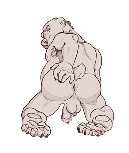 anthro anus armpit_hair backsack balls body_hair butt claws finger_claws genitals hand_on_butt inner_ear_fluff kneeling looking_back male pawpads paws penis presenting presenting_anus puckered_anus solo toe_claws tuft matthewstiffer bear mammal hi_res line_art