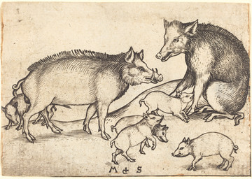 ambiguous_feral ambiguous_gender animal_genitalia balls cloven_hooves curled_tail feral fully_sheathed fur genitals group hooves male male_feral quadruped sheath short_tail side_view simple_background sitting standing tail tusks unguligrade young young_ambiguous young_feral martin_schongauer public_domain domestic_pig mammal suid suine sus_(pig) 15th_century absurd_res ancient_art hi_res monochrome signature traditional_media_(artwork)