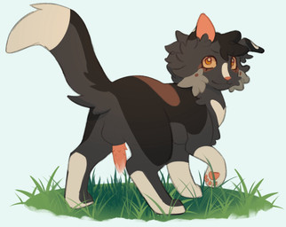 animal_genitalia animal_penis balls black_body black_fur feline_genitalia feline_penis feral fur genitals grass male multicolored_body multicolored_fur orange_body orange_fur penis plant smile solo littleperrito warriors_(book_series) fan_character domestic_cat felid feline felis mammal hi_res